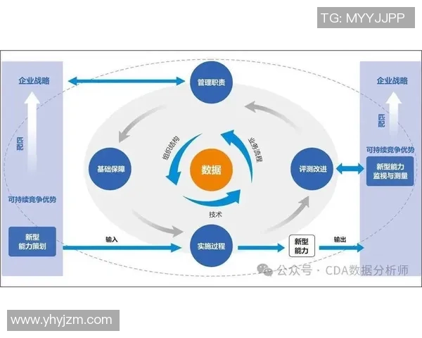 巅峰国际智能决策引擎架构助力企业数字化转型与智能决策优化新篇章